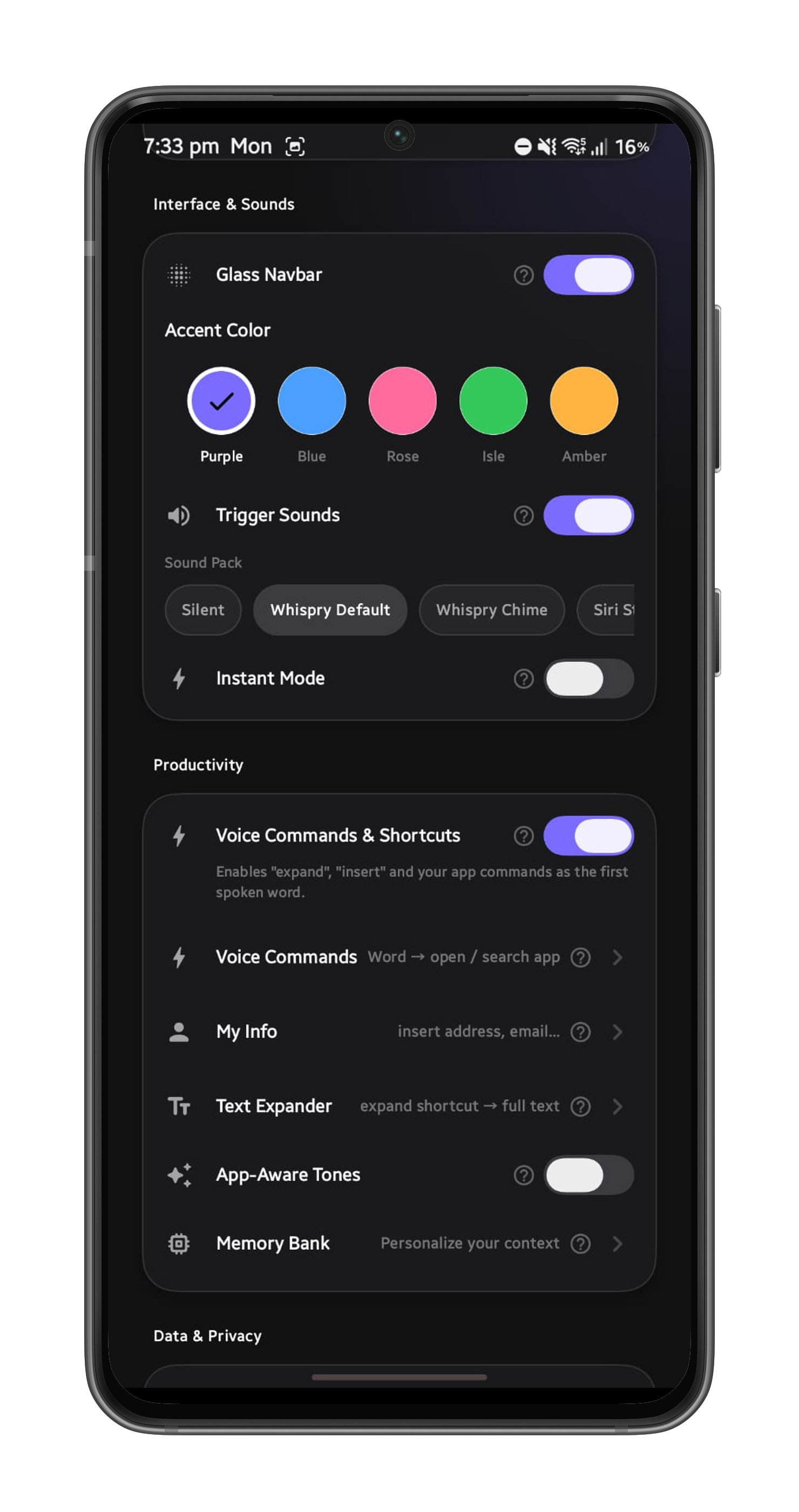 Whispry settings screen showing accent colour, voice commands, text expander and memory bank